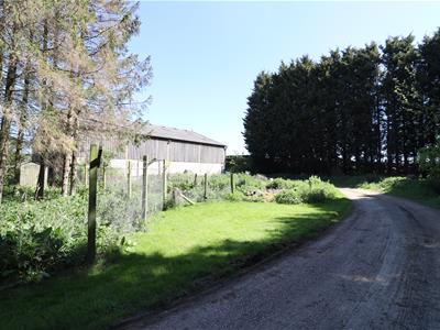 Picture 16